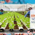 Thu nhập cao ! 03 nông nghiệp- TTS230401