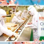 Hot ! Cơm hộp truyền thống TTS250302
